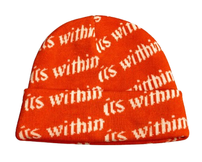 ITS WITHIN Beanies